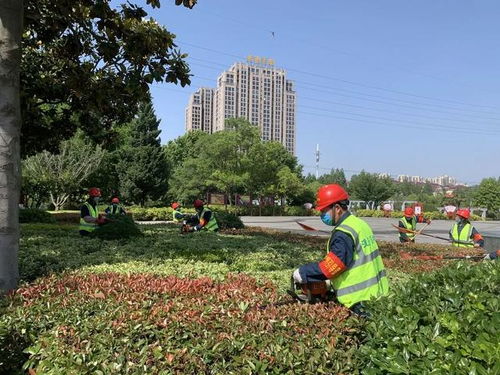 淮安市住建局园林绿化整治提升战加快推进